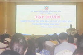 Tập huấn nghiệp vụ công tác kiểm tra, rà soát, hệ thống hóa VBQPPL