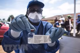 Phát hiện ra một chủng virus Ebola mới tại Sierra Leone