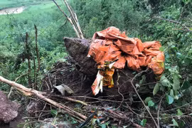 Bộ trưởng Quốc phòng quyết định truy thăng quân hàm cho 2 phi công