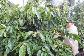 "Tàn nhưng không phế"