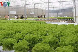 Thúc đẩy doanh nghiệp đầu tư vào lĩnh vực nông nghiệp