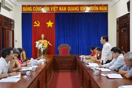 Đảng đoàn Hội Chữ thập đỏ Việt Nam làm việc với Tỉnh ủy