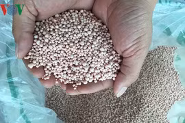 Sản xuất, kinh doanh phân bón kém chất lượng ngày càng tinh vi
