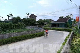 Nợ đọng xây dựng cơ bản nông thôn mới còn hơn 1.630 tỷ đồng