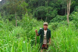 Lời thề giữ rừng của tộc người từng sống trong hang đá