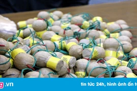 Dùng gạch tiêu hủy pháo, 4 cán bộ bị thương