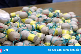 Dùng gạch tiêu hủy pháo, 4 cán bộ bị thương