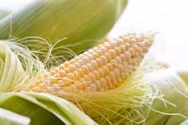 Uống nước vối, nước râu ngô trong mùa hè có thật sự tốt cho SK?