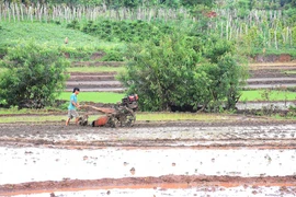 Nét mới trong sản xuất vụ mùa ở Chư Pưh