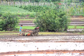 Nét mới trong sản xuất vụ mùa ở Chư Pưh