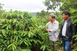 Gây quỹ nhóm giúp nhau thoát nghèo ở huyện Ia Grai