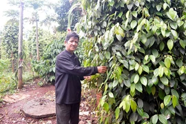Những tấm gương "Tàn nhưng không phế"