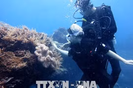 Tour lặn ngắm kỳ quan cổng Tò Vò dưới đáy biển hút khách