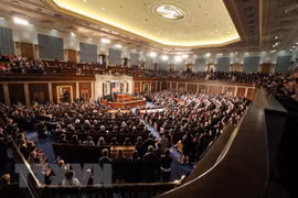 Tổng thống Trump: Nga sẽ tìm cách can thiệp vào bầu cử Quốc hội Mỹ