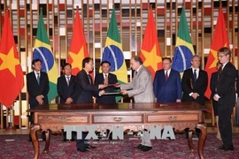 Việt Nam, Brazil thúc đẩy hợp tác đầu tư và thương mại