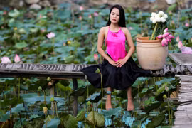 Đầm sen rộng hàng nghìn mét vuông ở Sài Gòn nở rộ