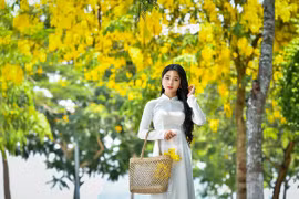 "Hot girl tráng bánh mướt" xứ Nghệ đẹp dịu dàng dưới tán hoàng yến