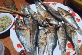 Vị đắng ngọt cá niên