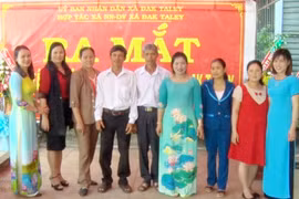 Mang Yang: Doanh thu Hợp tác xã bình quân đạt 900 triệu đồng/năm