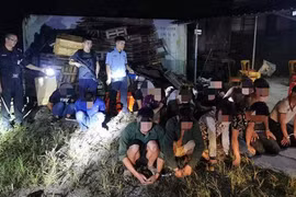 Trung Quốc thu giữ 3.541 con cá sấu và khỉ buôn lậu nghi từ Việt Nam