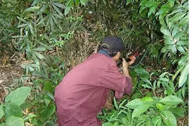 Thợ săn bắn nhầm người cùng làng vì tưởng... khỉ