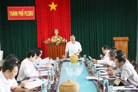 Gia Lai: Giám sát hoạt động của Cụm Công nghiệp Diên Phú