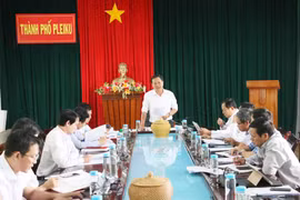 Gia Lai: Giám sát hoạt động của Cụm Công nghiệp Diên Phú