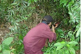 Thợ săn bắn nhầm người cùng làng vì tưởng... khỉ