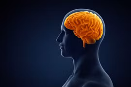 Những loại nước ép trái cây giúp tăng cường trí nhớ của bạn