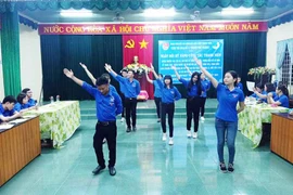 Hội LHTN Việt Nam các cấp: Nhiều hoạt động sôi nổi, thiết thực