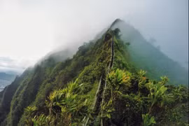 Khám phá 21 cầu thang ngoạn mục nhất thế giới