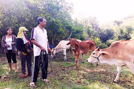 Phát huy hiệu quả Quỹ "Vì người nghèo" tại An Khê