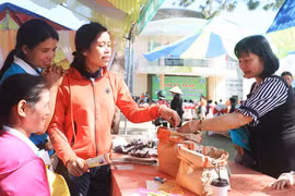 Ia Grai: Đưa nông sản an toàn đến người tiêu dùng