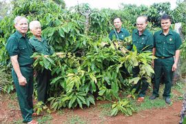 Sáng mãi phẩm chất "Bộ đội Cụ Hồ"