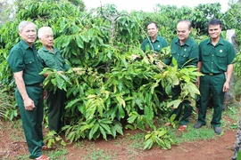 Sáng mãi phẩm chất "Bộ đội Cụ Hồ"