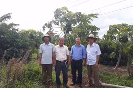 Cựu chiến binh Đak Pơ thi đua sản xuất, kinh doanh giỏi