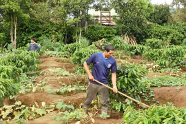 Sôi nổi phong trào nông dân huyện Ia Grai thi đua sản xuất, kinh doanh giỏi