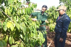 Ia Chía: Gặp khó trong xây dựng nông thôn mới
