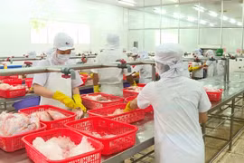 Doanh nghiệp chạy đua đầu tư để hưởng lợi từ các FTA