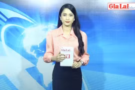 Gia Lai 48h: Nâng cao hiệu quả tham mưu về Đại hội Đảng bộ các cấp