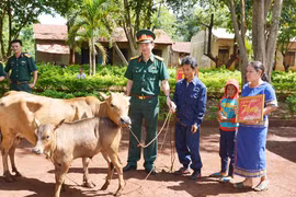 Binh đoàn 15: Hỗ trợ hàng trăm triệu đồng cho người dân bị ảnh hưởng mưa lũ