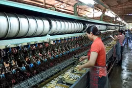 Bảo Lộc: Viên ngọc thô chờ mài giũa