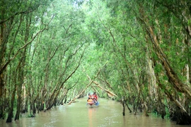 Mê mẩn Trà Sư mùa nước nổi