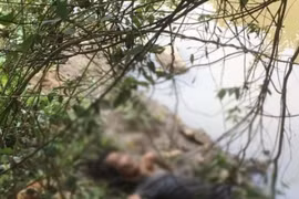 Đắk Lắk: Phát hiện thi thể người đàn ông bên bờ suối