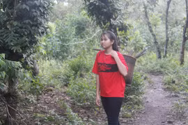 Cô gái Stiêng bị bắt lấy chồng sớm giờ đã đến giảng đường