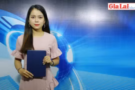 Gia Lai 48h: Kỳ họp thứ 11 HĐND tỉnh Gia Lai dự kiến diễn ra từ ngày 9 đến 11-12