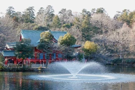 Các công trình đền chùa nổi tiếng tại Tokyo độc đáo kỳ lạ