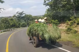 "Đu" người theo xe công nông