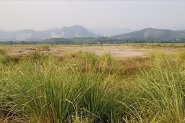 Chặn đầu cơ, "thổi giá", lừa đảo trên thị trường: Bộ Xây dựng báo cáo gì?