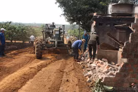 Tân An chung sức làm đường